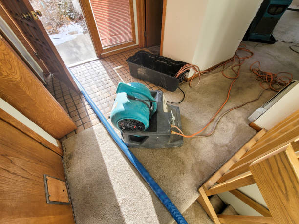 Best Water damage contractors near me  in Heritage Village, CT