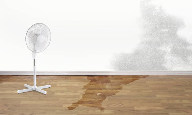 Best Residential water damage restoration  in Heritage Village, CT