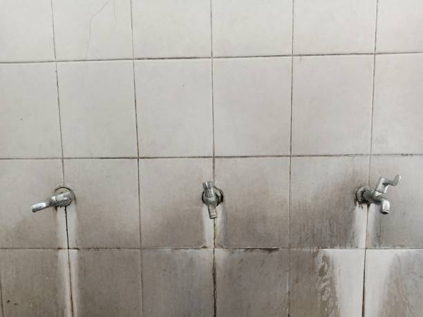Best Professional water damage repair  in Heritage Village, CT