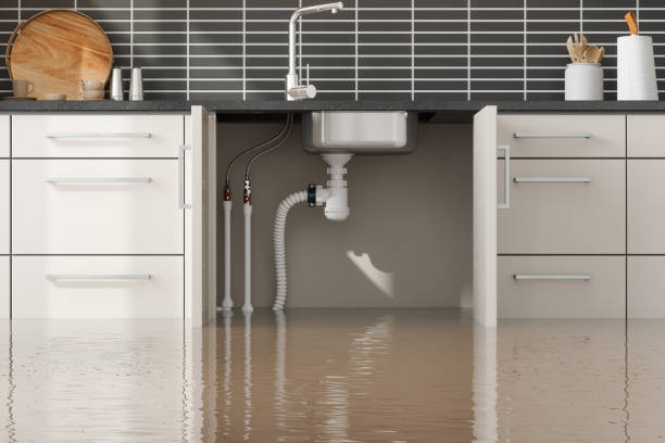  Heritage Village, CT Water damage restoration Pros
